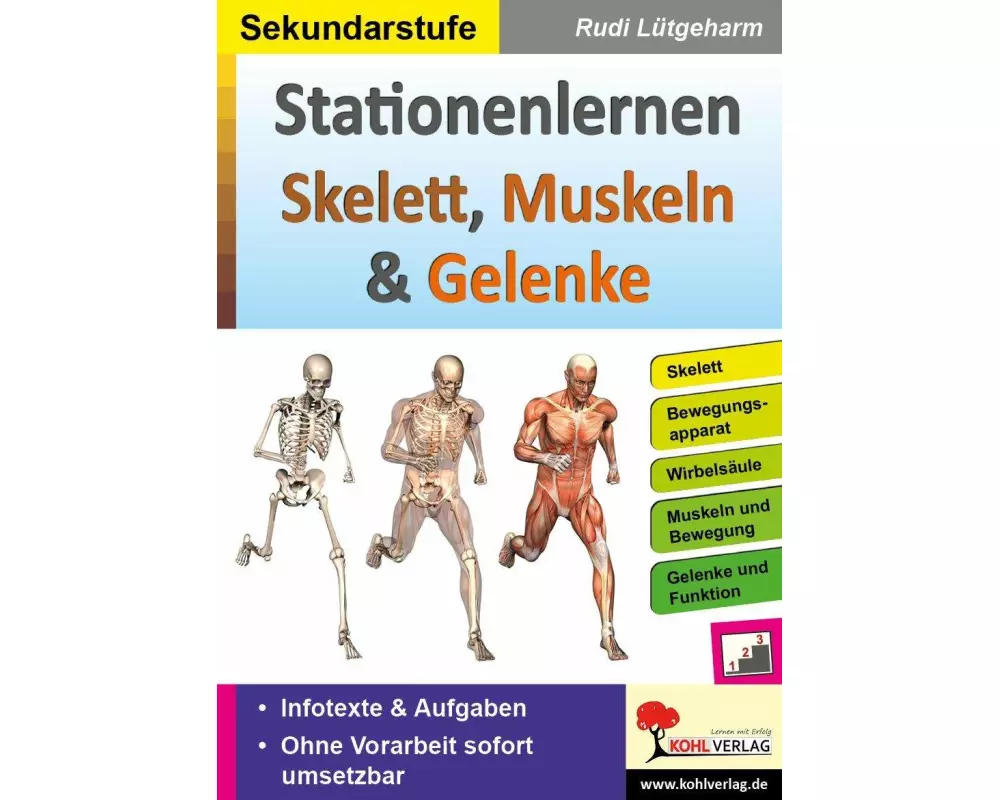 Stationenlernen Skelette, Muskeln & Gelenke