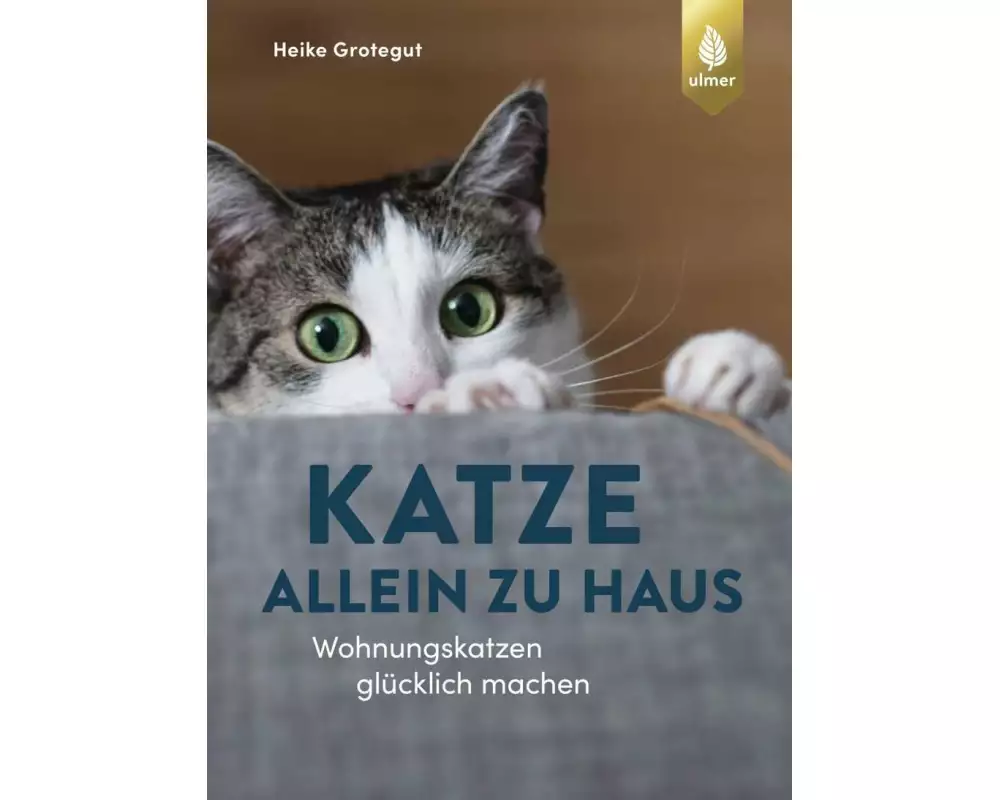 Katze allein zu Haus