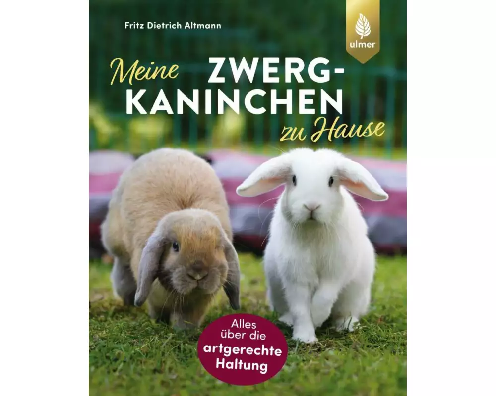 Meine Zwergkaninchen zu Hause