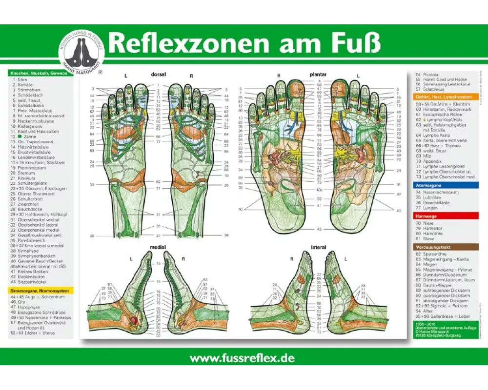 Reflexzonen am Fuß (A4)