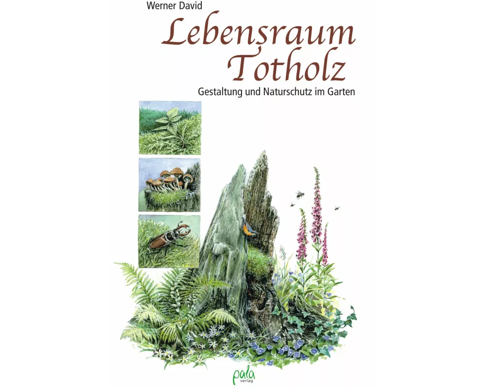 Lebensraum Totholz