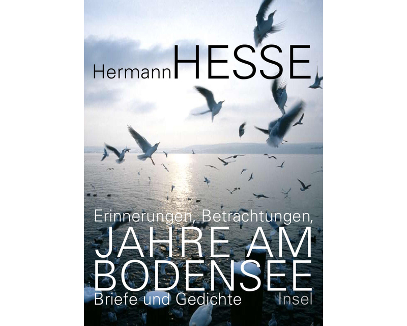 Jahre am Bodensee