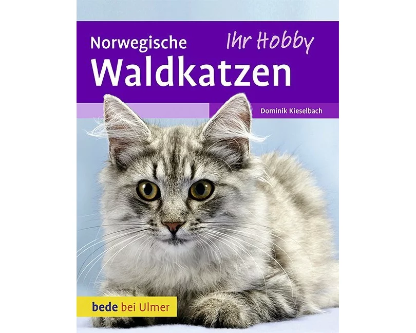 Norwegische Waldkatzen