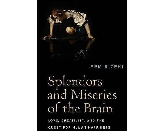 Splendors and Miseries of the Brain
