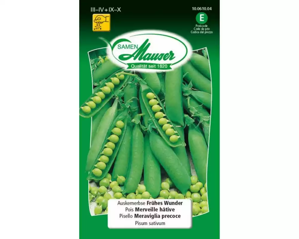 Samen Mauser Auskernerbse Frühe Harzerin