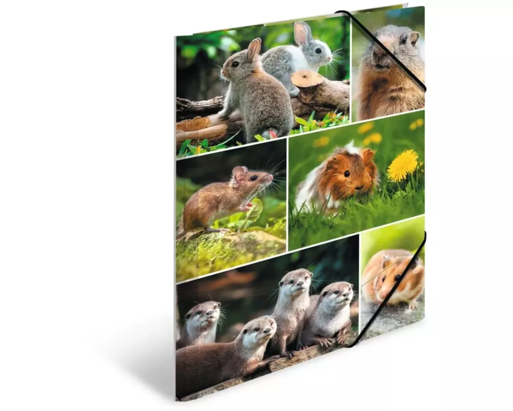 HERMA Gummibandmappe Nagetiere A4, Mehrfarbig