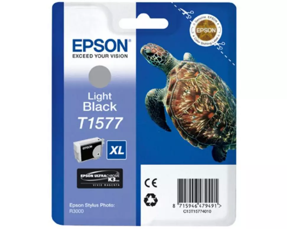 Epson Tinte C13T15774010 Light Black