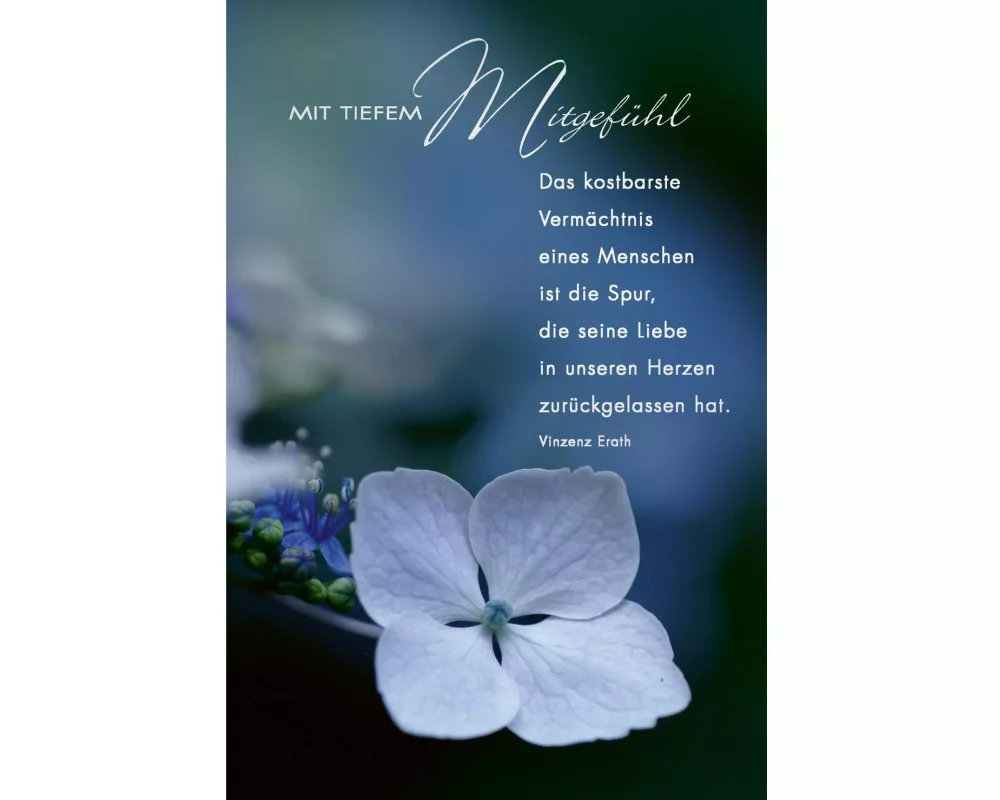 ABC Trauerkarte Weisse Blume