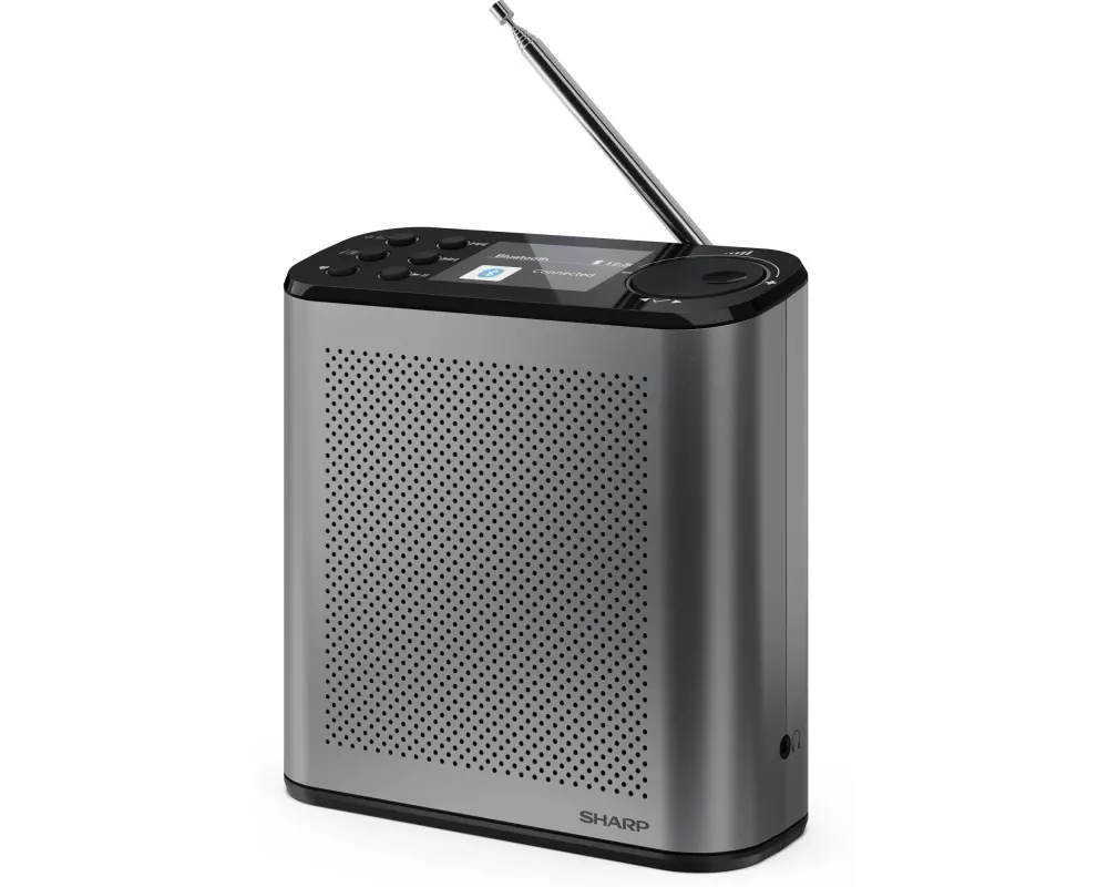 Sharp DAB+ Radio DR-P530 Grau