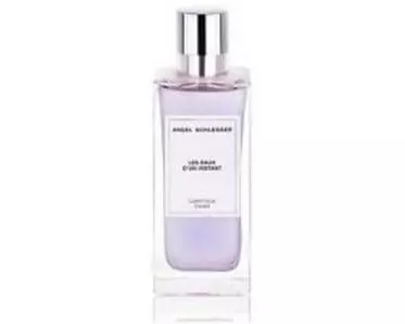 angel schlesser Les Eaux d'un Instant Luminous Violet 100 ml