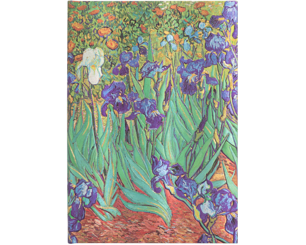 PAPERBLANKS Notizbuch Van Goghs Midi PB8204-0 liniert, 144 S., bunt