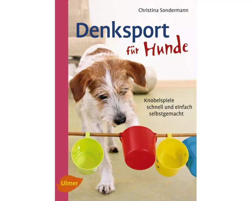 Denksport für Hunde