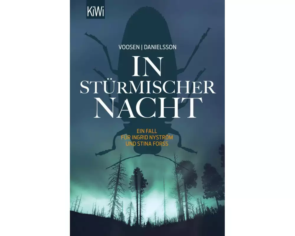 In stürmischer Nacht