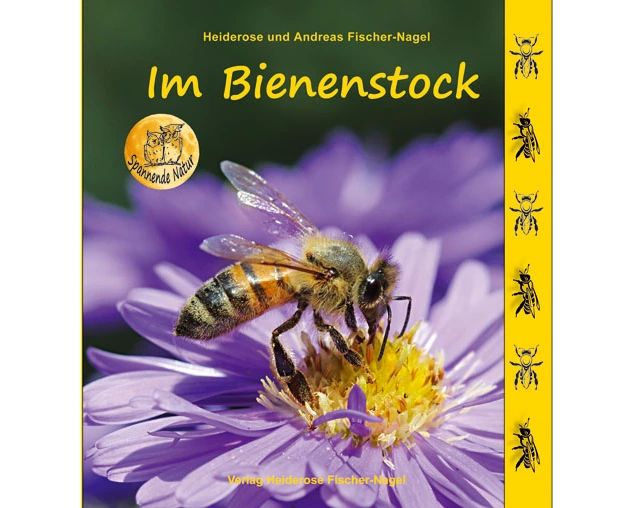 Im Bienenstock