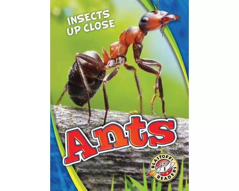 Ants