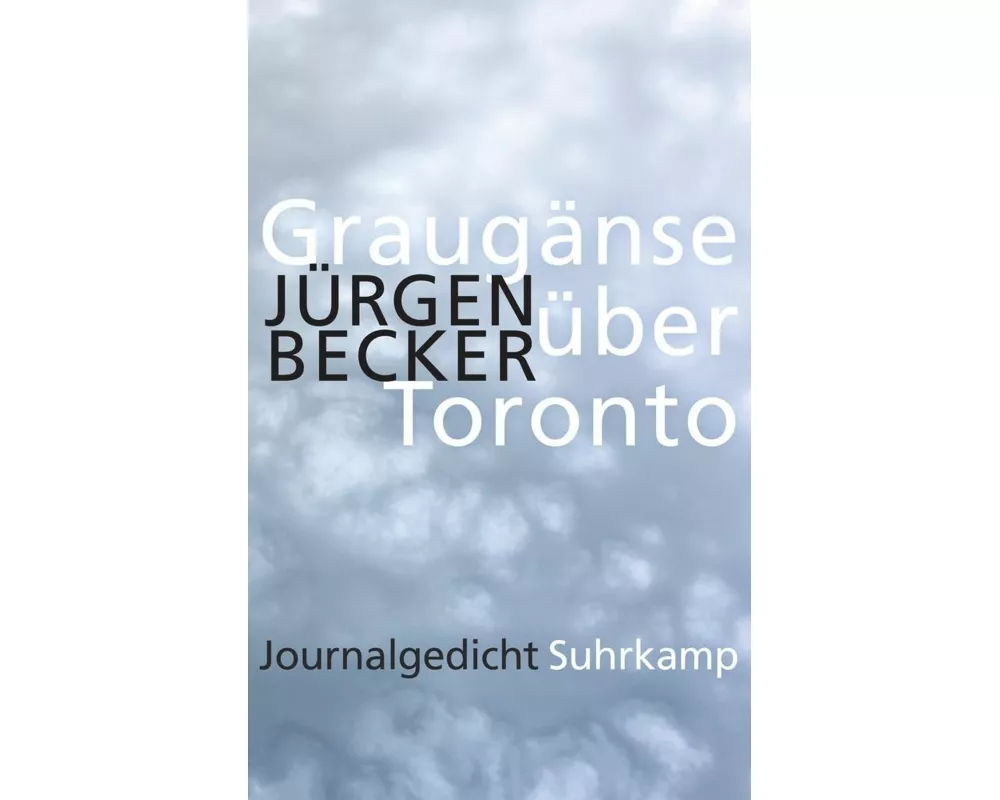 Graugänse über Toronto