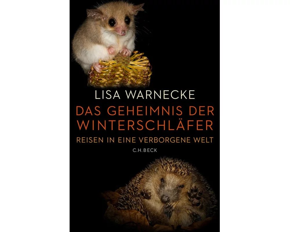 Das Geheimnis der Winterschläfer