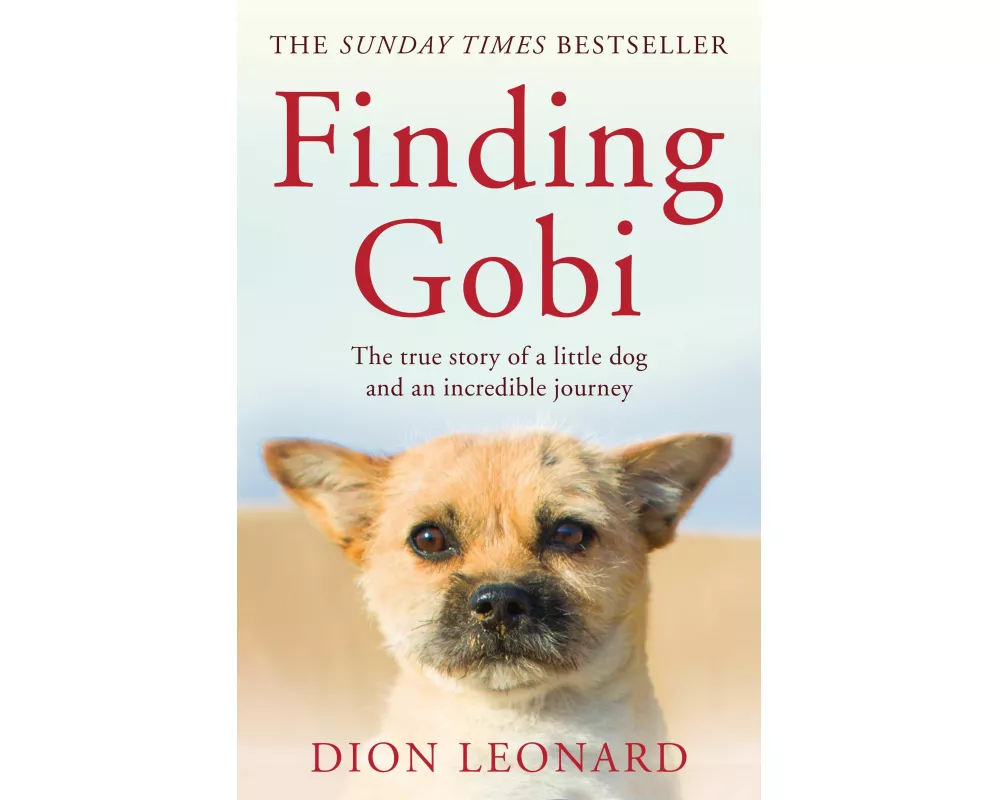Finding Gobi (Main edition)