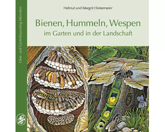 Bienen, Hummeln, Wespen im Garten und in der Landschaft