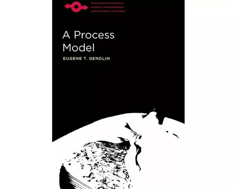 A Process Model