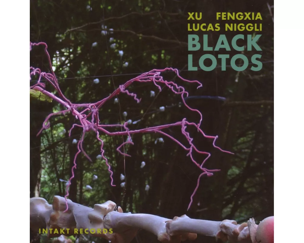 Black Lotos