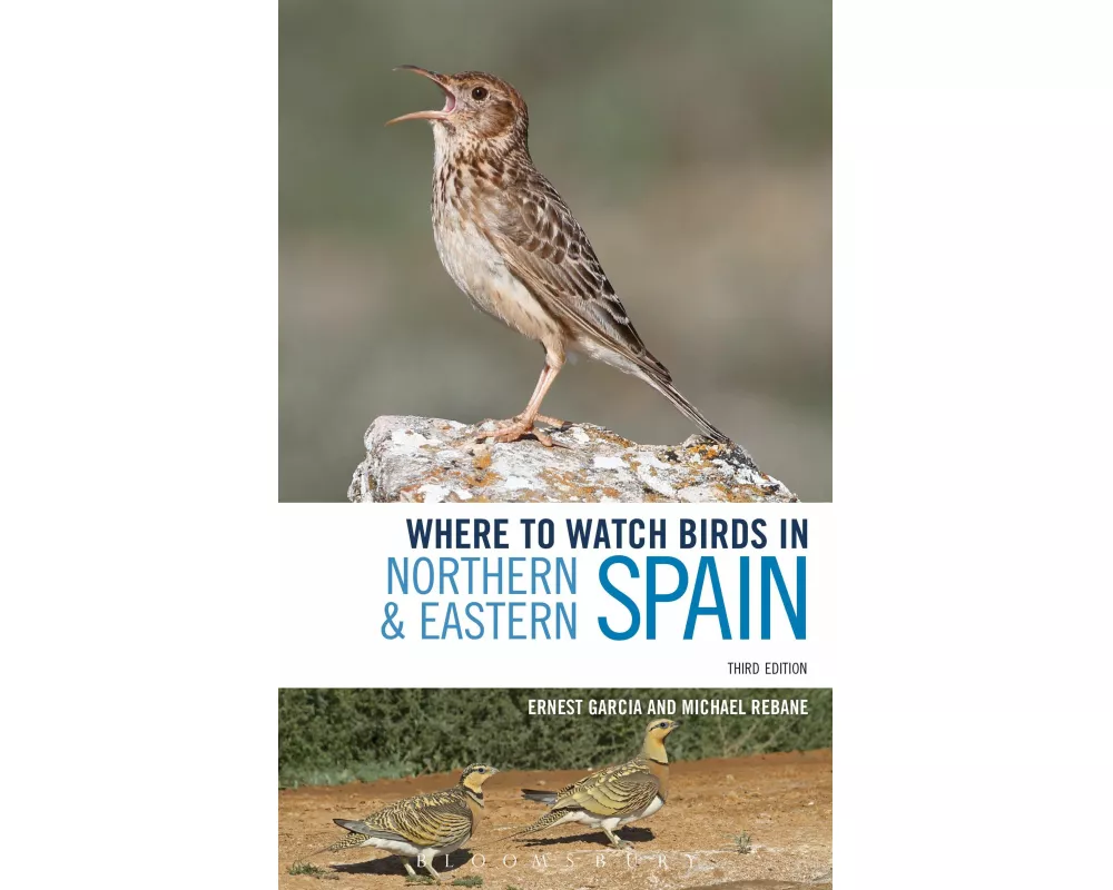 Where to Watch Birds in Northern and Eastern Spain