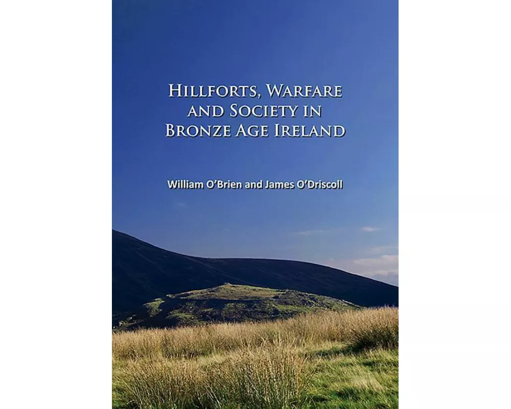 Hillforts, Warfare and Society in Bronze Age Ireland