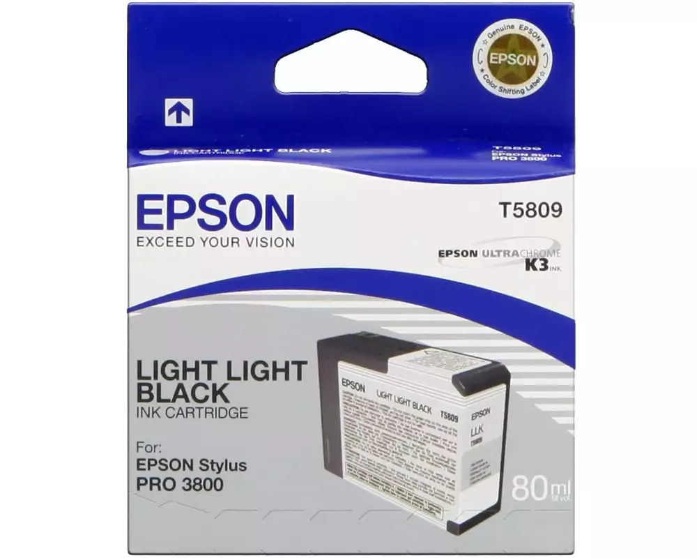 Epson Tinte C13T580900 Light Light Black