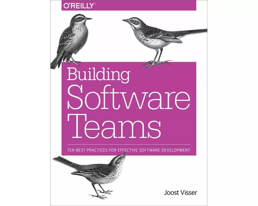 Building Software Teams