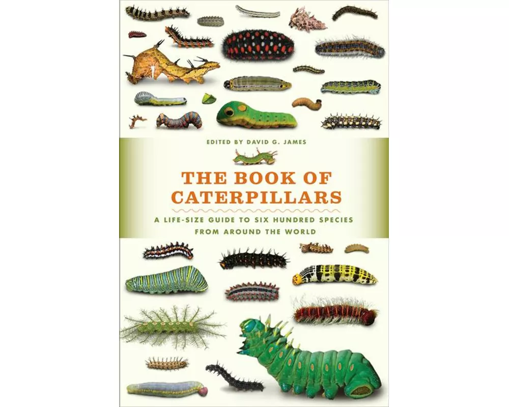 The Book of Caterpillars