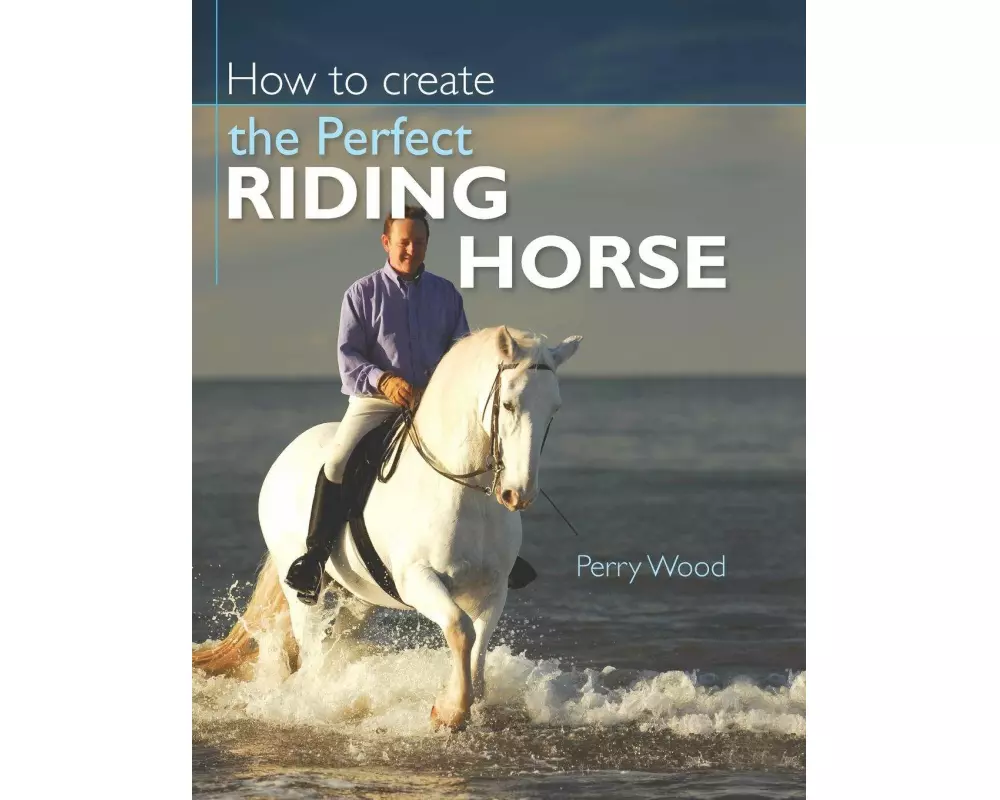 How to Create the Perfect Riding Horse