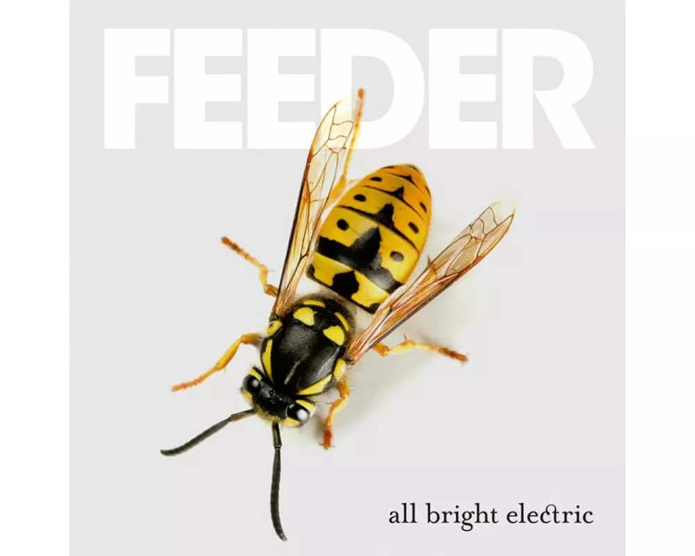 All Bright Electric