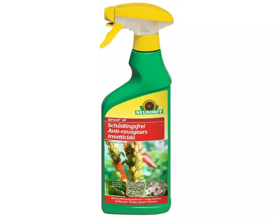 Neudorff Insektizid Spruzit AF Schädlingsfrei mit Sprüher, 500 ml