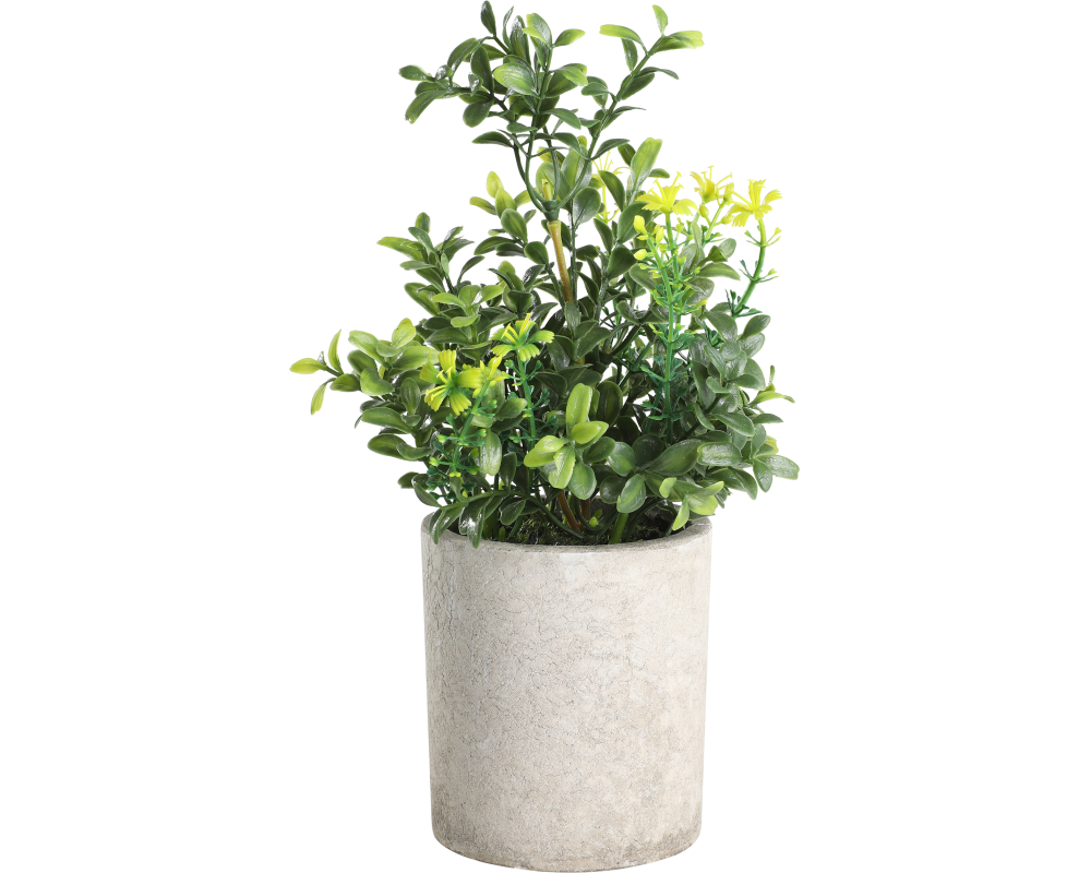 EGLO Kunstpflanze 25cm 428025 grün, im Topf