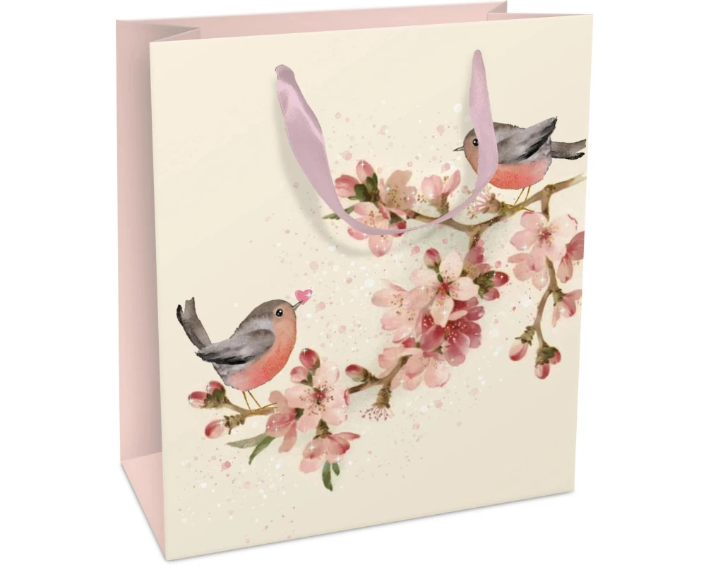 Braun + Company Geschenktasche Vogel 18 x 21 x 8 cm