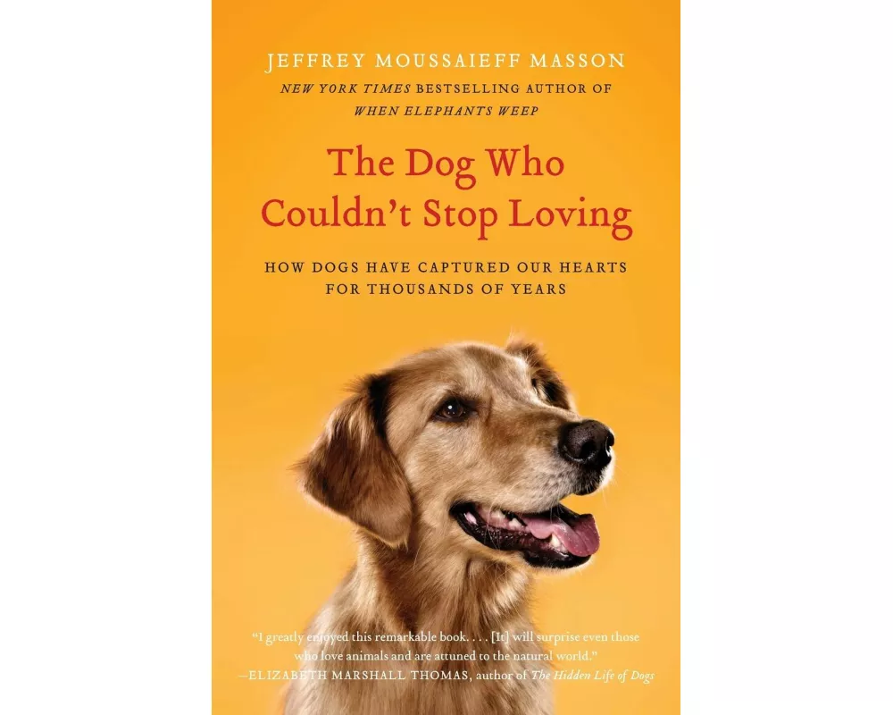 The Dog Who Couldn't Stop Loving