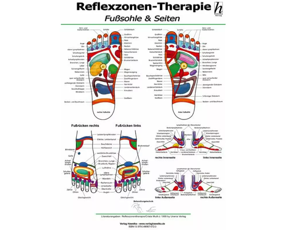 Reflexzonen-Therapie Mini-Poster - Fußsohle & Seiten DIN A4