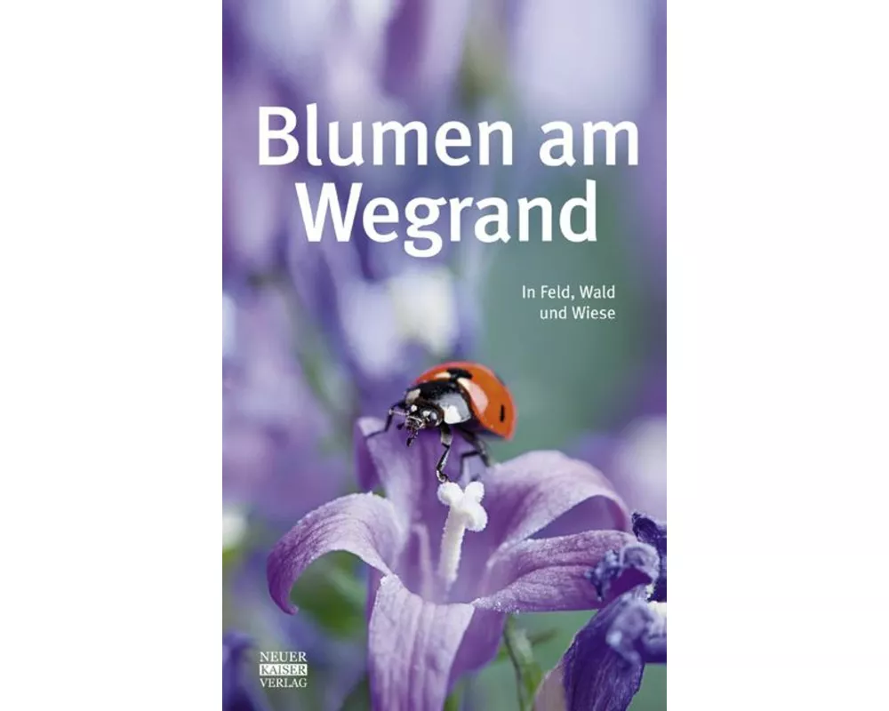 Blumen am Wegrand