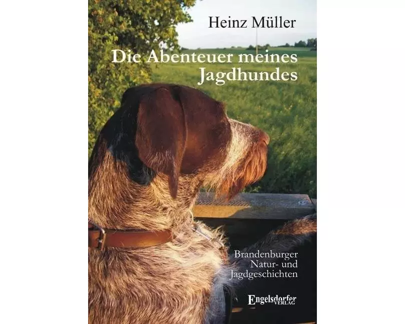 Die Abenteuer meines Jagdhundes