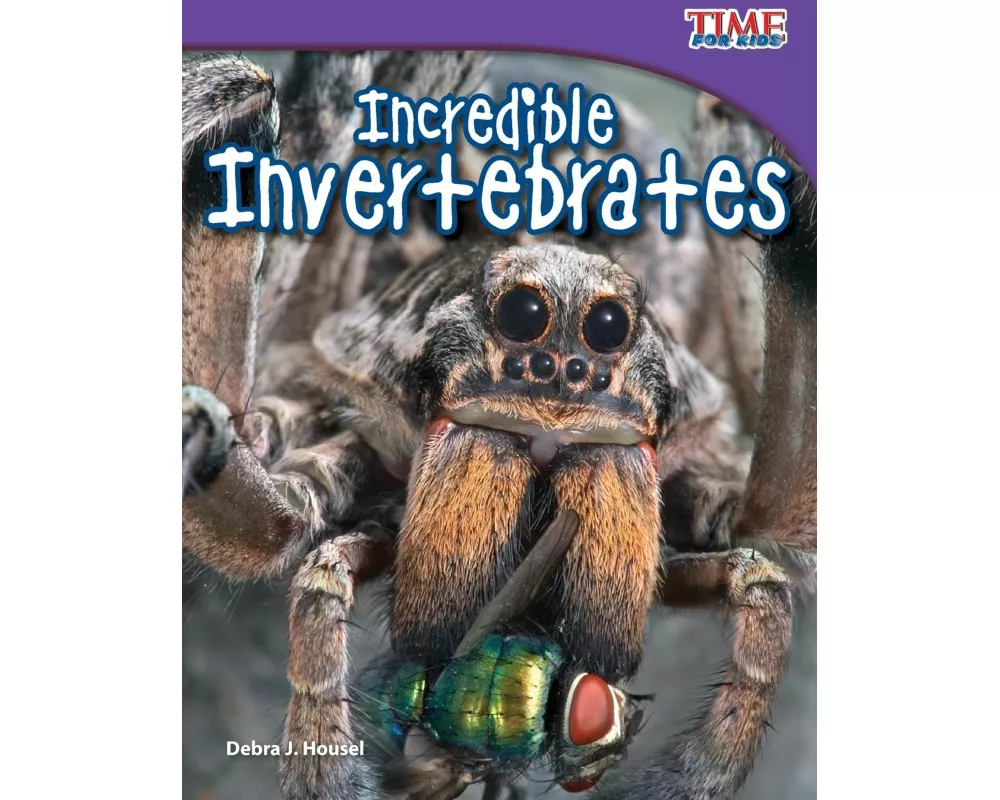 Incredible Invertebrates
