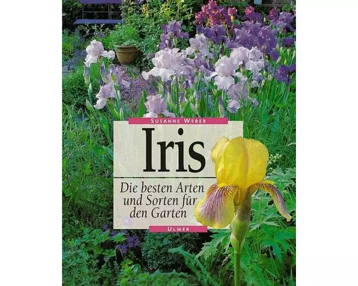 Iris