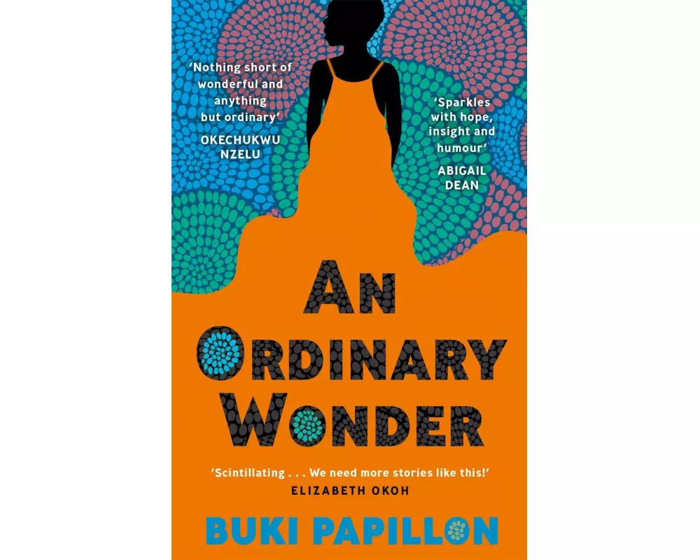 An Ordinary Wonder