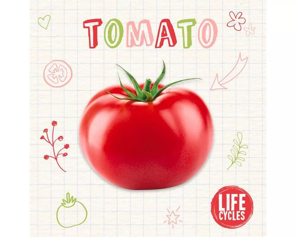 Tomato