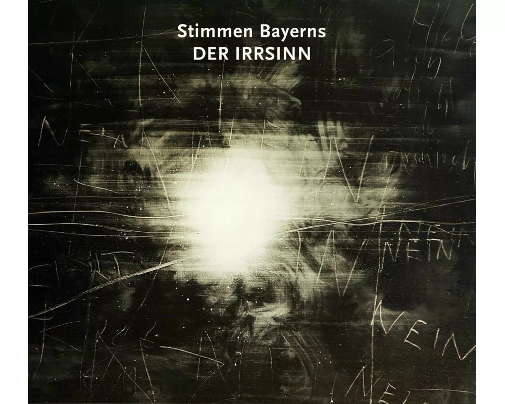Stimmen Bayerns:Der Irrsinn