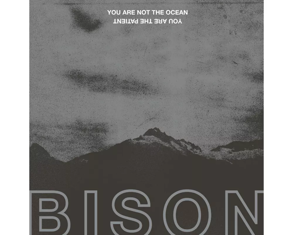 You Are Not The Ocean You Are The Patient
