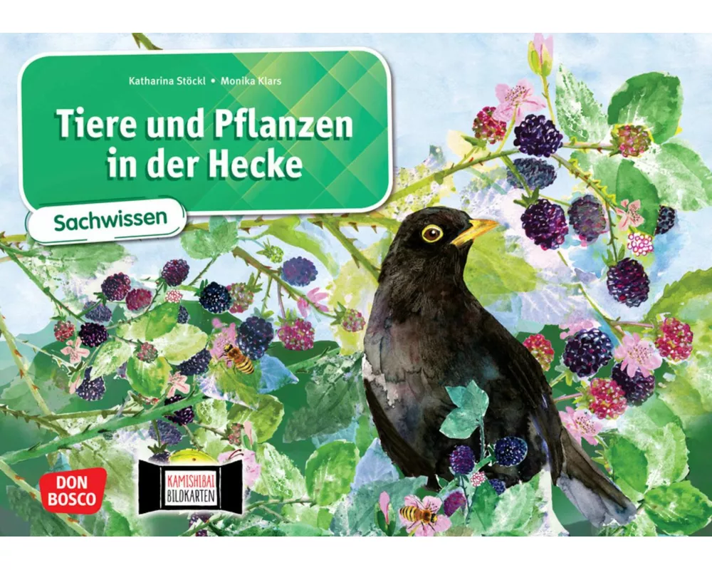 Tiere und Pflanzen in der Hecke. Kamishibai Bildkartenset