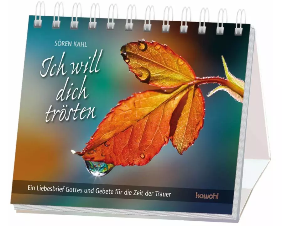 Ich will dich trösten