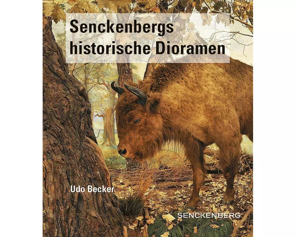 Senckenbergs historische Dioramen