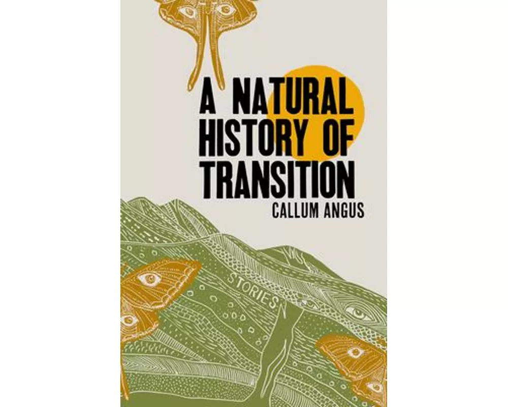 A Natural History Of Transition