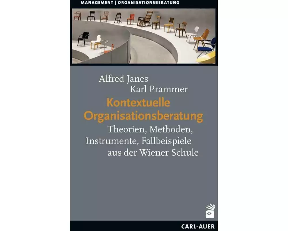 Kontextuelle Organisationsberatung